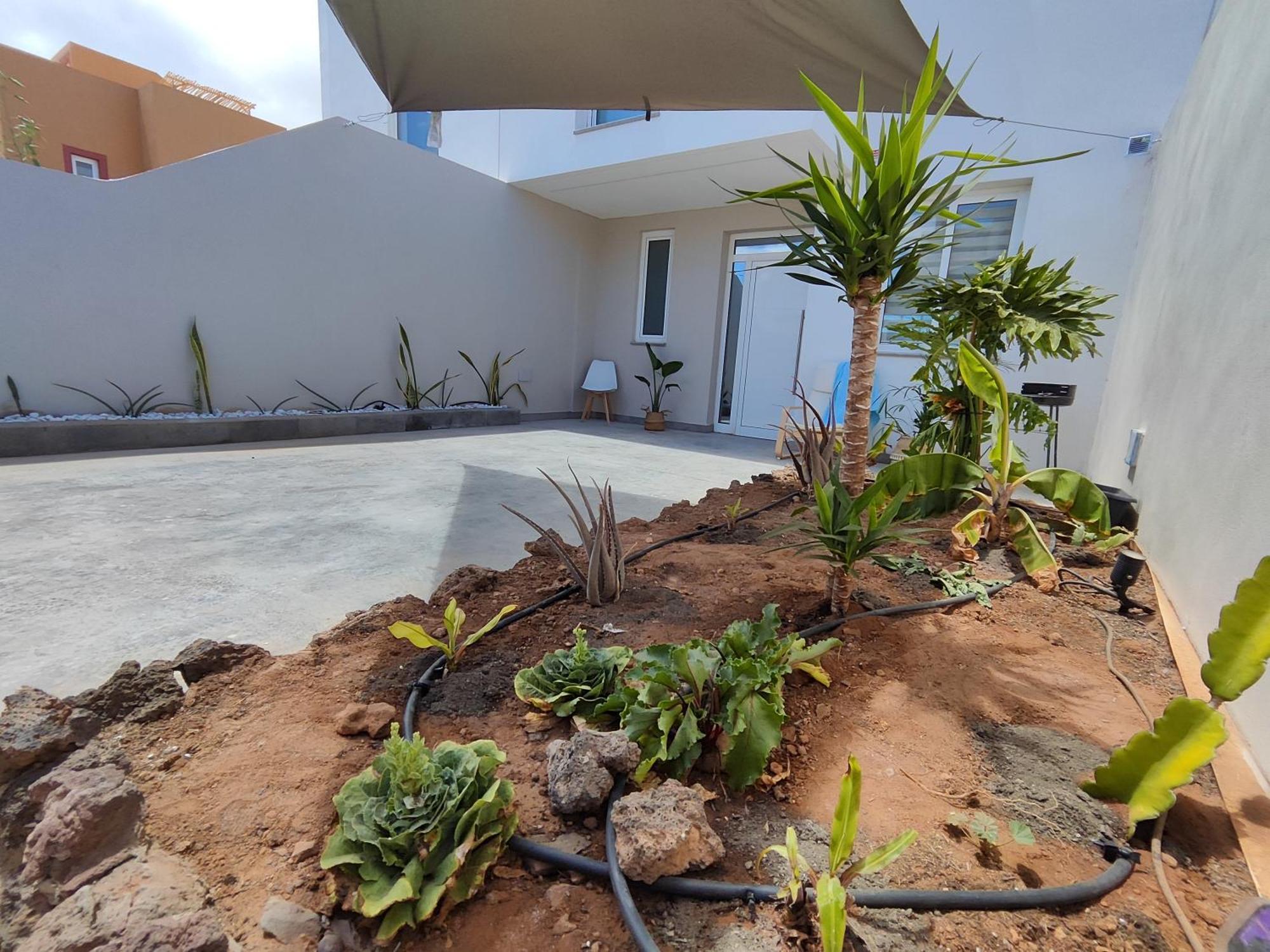 Gozamena Fuerteventura Βίλα Κοραλέχο Εξωτερικό φωτογραφία